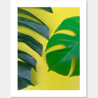 Monstera Leaves Posters and Art